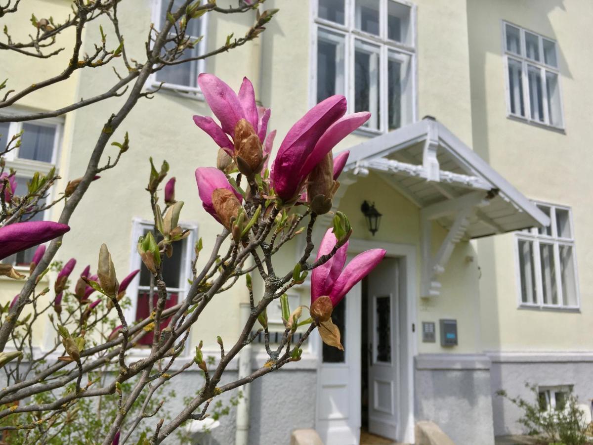Landhaus Blauer Spatz Reichenau An Der Rax Ngoại thất bức ảnh